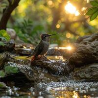 ai generado un muy hermosa colibrí cerca el río foto