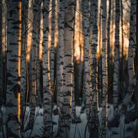 AI generated A relaxing forest of white birches photo