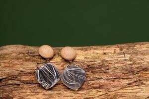 Stylish earrings on wooden branch over beige background. Jewelry fashion photography concept. studio shot photo