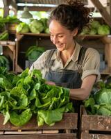 AI generated female farmer picking cos lettuce from a wooden vegetable container photo