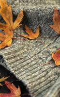 otoño composición. de punto tartán o bufanda y caído hojas en oscuro gris antecedentes. Hola otoño, acogedor atmósfera. plano poner, Copiar espacio. foto
