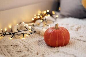 otoño todavía vida. calabaza en blanco de punto tartán con guirnalda - Víspera de Todos los Santos hogar decoración, concepto de otoño estación, cálido, higiene, acogedor, rústico estilo hogar decoración, Copiar espacio, bandera foto