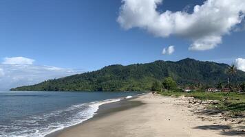 View of the high seas beach with logs stranded on the beach photo