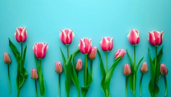 AI generated Bunch of pink tulips spring flowers over blue background with empty space for text. photo