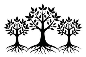 Black Trees with roots set isolated on white background vector