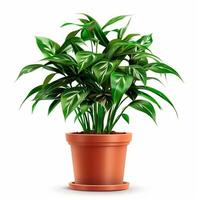 AI generated Potted plant isolated on white background. photo