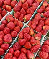 Strawberries In Baskets photo
