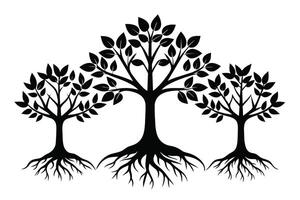 Black Trees with roots set isolated on white background vector