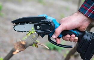 Hand holds light chain saw with battery to trim broken branch of an tree, in sunny day photo