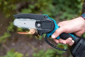 Hand holds light chain saw with battery to trim broken branch of an tree, in sunny day photo