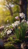 AI generated Spring flowers on green lawn, flooded with bright sunlight, blurred background. photo