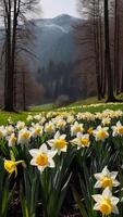 ai generado primavera flores en verde césped, inundado con brillante luz de sol, borroso antecedentes. foto