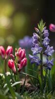 AI generated Spring flowers on green lawn, flooded with bright sunlight, blurred background. photo