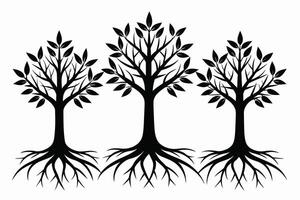 Black Trees with roots set isolated on white background vector