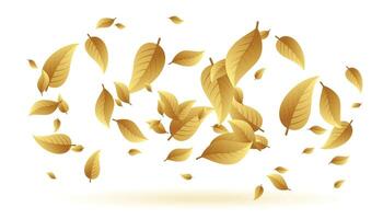 falling or floating leaves background design vector