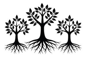 Black Trees with roots set isolated on white background vector