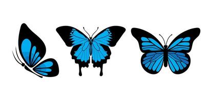 Collection of blue butterfly vector illustration isolated