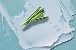 A smear of white cream with a sprig of rosemary on a blue background. photo