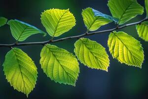 ai generado brillante primavera verdor naturaleza profesional fotografía foto