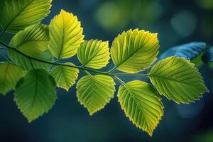 ai generado brillante primavera verdor naturaleza profesional fotografía foto