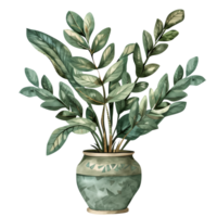 AI generated Isolated illustration of a ZZ plant png