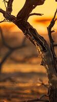 ai generado África paisaje detalles foto