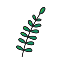 Spring plant. Easter doodles hand drawn png