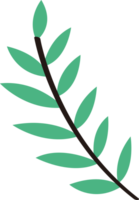 a cute leaves png