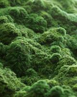 AI generated fluffy moss texture photo