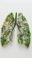AI generated Human lungs in the form of trees or leaves on a white background photo