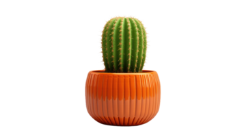 terre cuite pot cactus sur transparent Contexte png