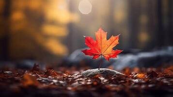 AI generated One vivid autumn colorful maple leaf in red and yellow colors. leaf color dry park close illustration forest autumn, natural season, outdoor garden leaf color dry park close photo