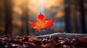 AI generated One vivid autumn colorful maple leaf in red and yellow colors. leaf color dry park close illustration forest autumn, natural season, outdoor garden leaf color dry park close photo