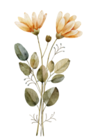 vattenfärg gul blomma bukett. hand dragen png