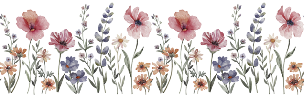 seamless border With delicate multi-colored meadow flowers, watercolor illustration. png