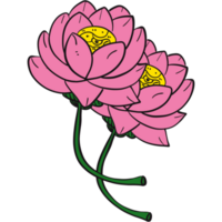 The illustration of a lotus png