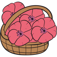 The illustration of a pink flower png