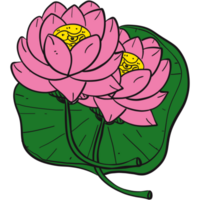 The illustration of a lotus png
