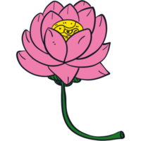 The illustration of a lotus png