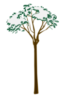 nevoso albero a pomeriggio inverno illustrazione png