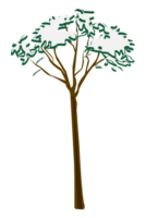 snowy tree at afternoon winter illustration png