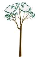 neigeux arbre à après midi hiver illustration png