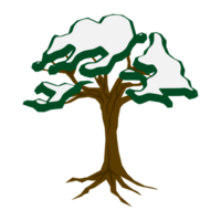 neigeux arbre à après midi hiver illustration png