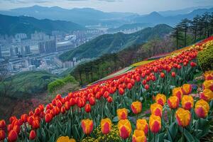 AI generated theme of outdoor spring with colorful flowers professional photography photo