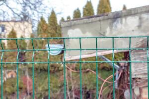 Wet green fence against a background of green nature. Drops. Iron mesh fence close-up. photo