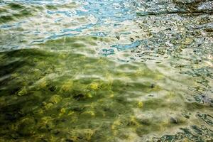antecedentes de el agua de lago traunsee en el costero área. vistoso textura de piedras debajo agua. foto