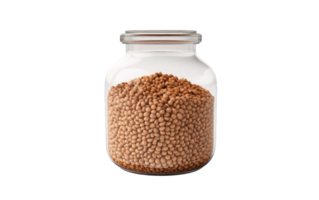 Crisp Lentil Presentation On Transparent Background png