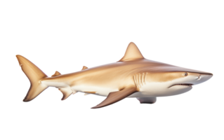 Lemon Shark On Transparent Background. png