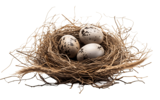 AI generated Isolated Nest with Eggs PNG on Transparent Background Generative AI