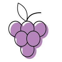 Outline grapes icon vector